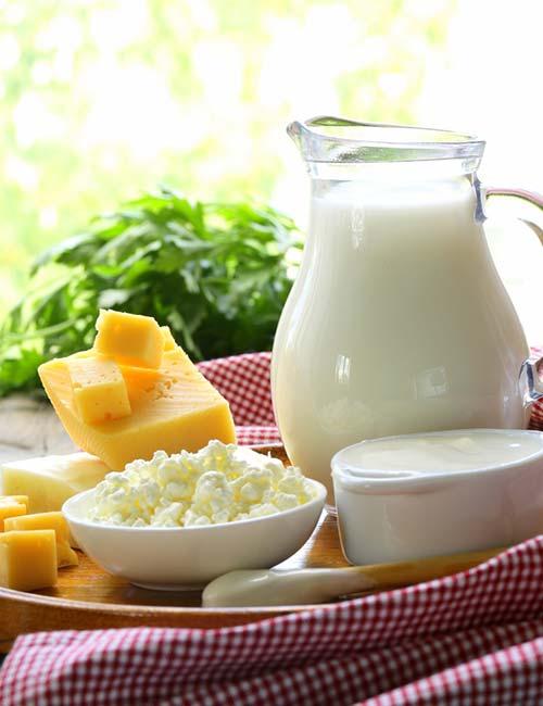 Belly Fat Burning Foods - Dairy Products 