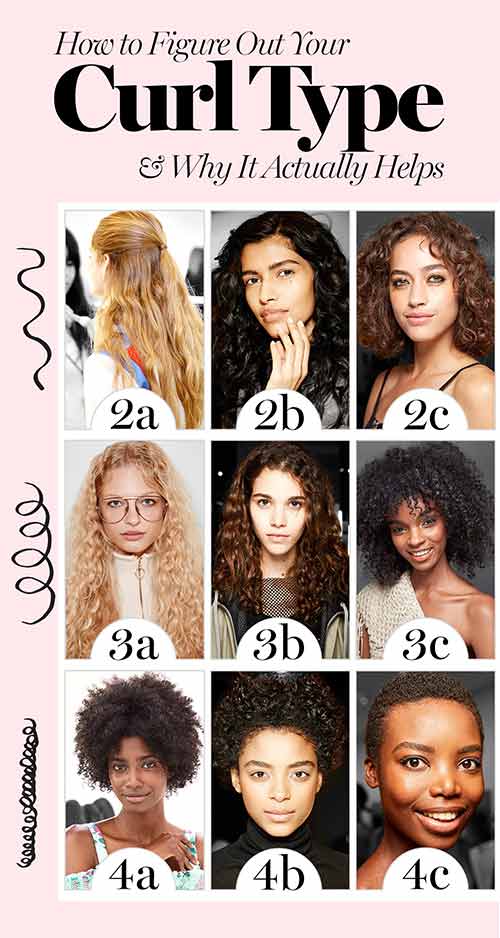Different types of curls