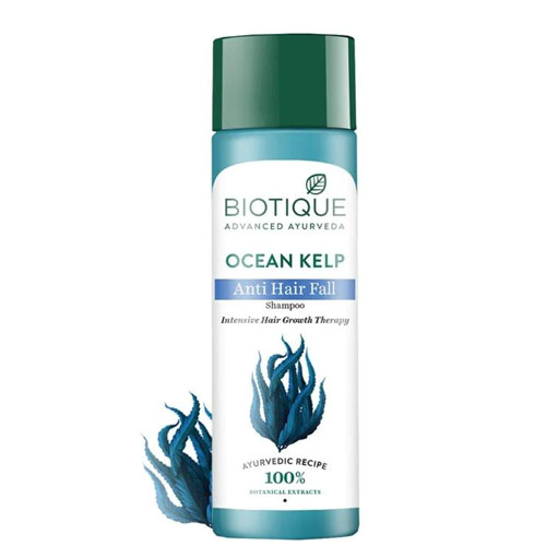 Biotique ocean Kelp Shampoo for anti Hair fall Intensive Hair Regrowth Treatment