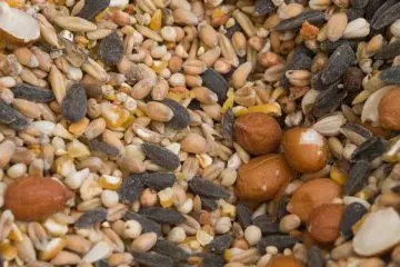 Nuts and seeds for hair growth