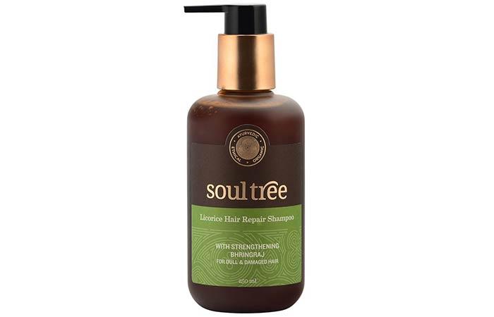 Soultree Licorice Hair Repair Shampoo