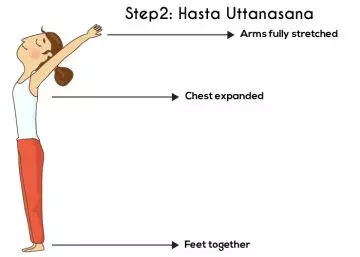 Sun salutation step 2 the hasta uttanasana or the raised arms pose