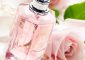 8 Basic Types Of Perfumes You Should Know About