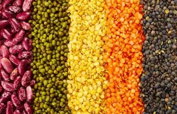 Beans-And-Pulses2