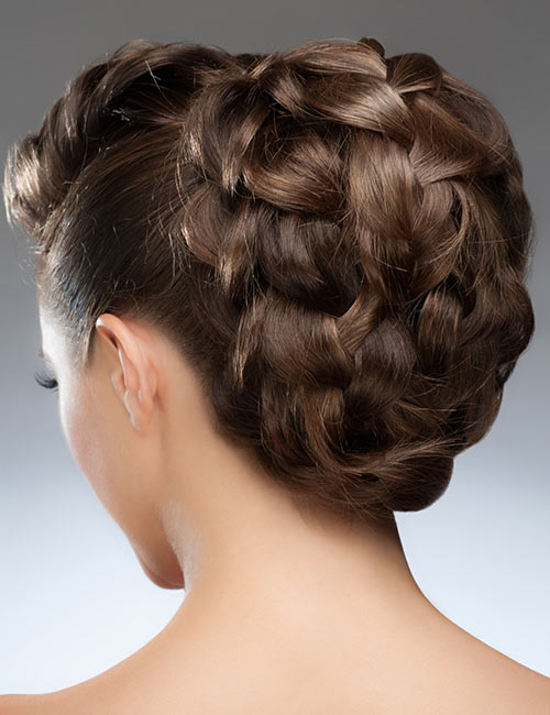 Braided updo hairstyle for long hair