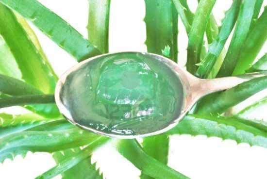 Aloe vera gel for thicken scanty eyebrows