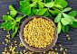 15 Wonderful Benefits Of Fenugreek Seeds You Must Know About