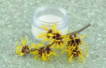 Use witch hazel as a home remedy for cystic acne
