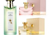10 Best Bvlgari Perfumes For Women - 2022 Update (With Reviews)
