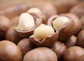 11 Amazing Health Benefits Of Macadamia Nuts