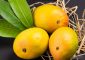 13 Benefits Of Mangoes, Nutrition, Recipes, & Side Effects