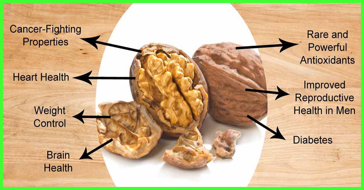 20-health-benefits-of-walnuts-side-effects-cooking-tips