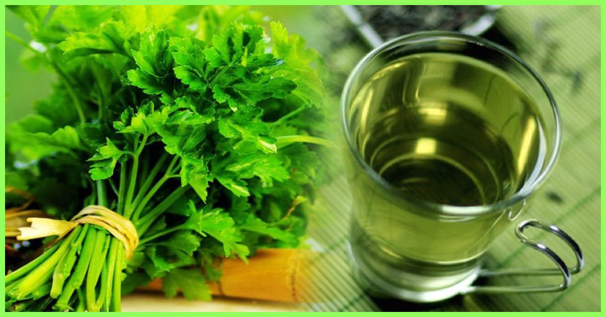 Parsley: 10 Potential Benefits And Uses, Nutrition, How To Make Tea