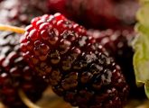 23 Amazing Benefits Of Mulberries (Shahtoot) For Skin, Hair, And ...