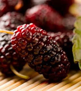 23 Amazing Benefits Of Mulberries (Sh...