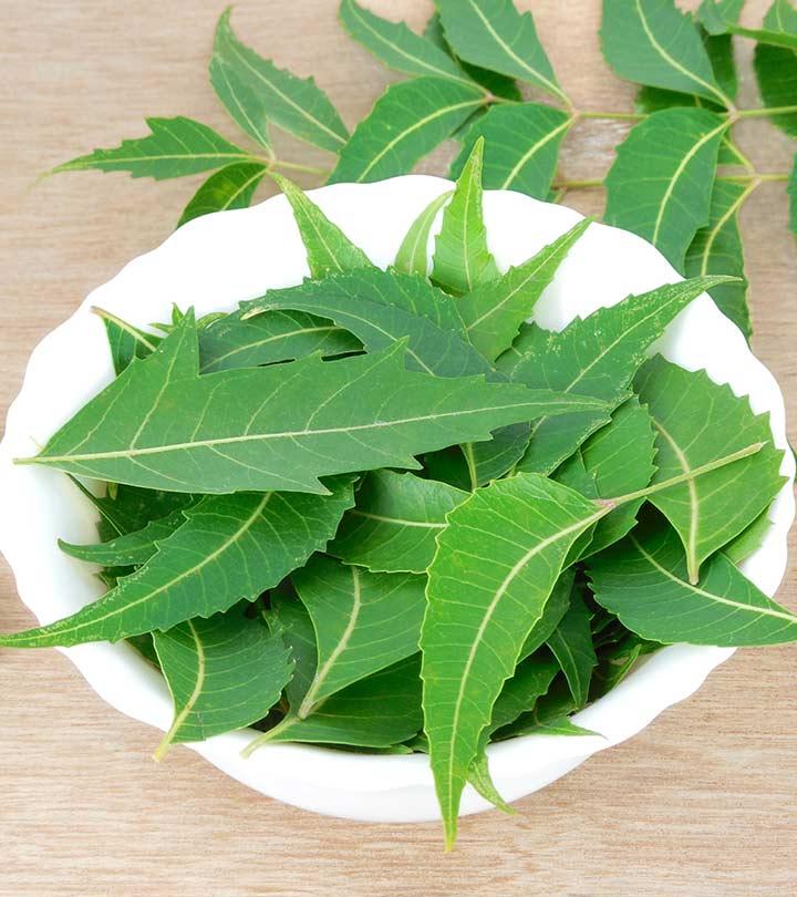 18-amazing-benefits-and-uses-of-neem-leaves-for-skin-hair-and-health