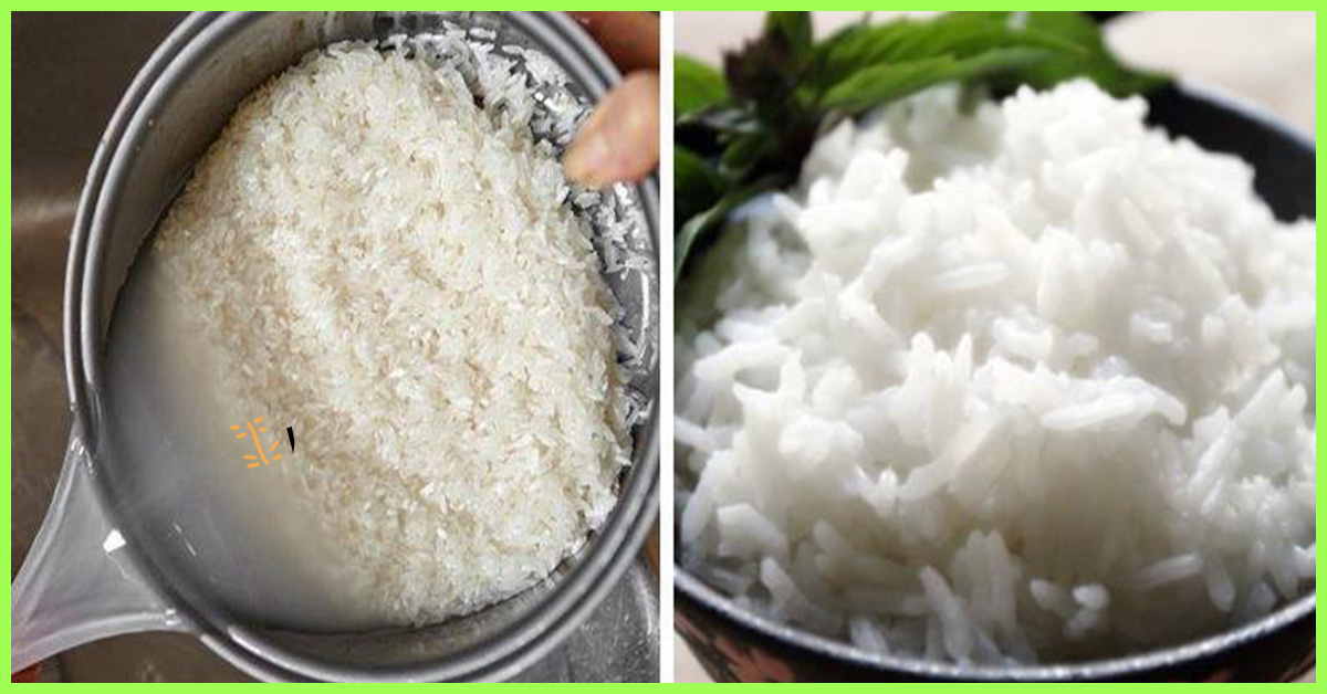 Rice Calories Chart