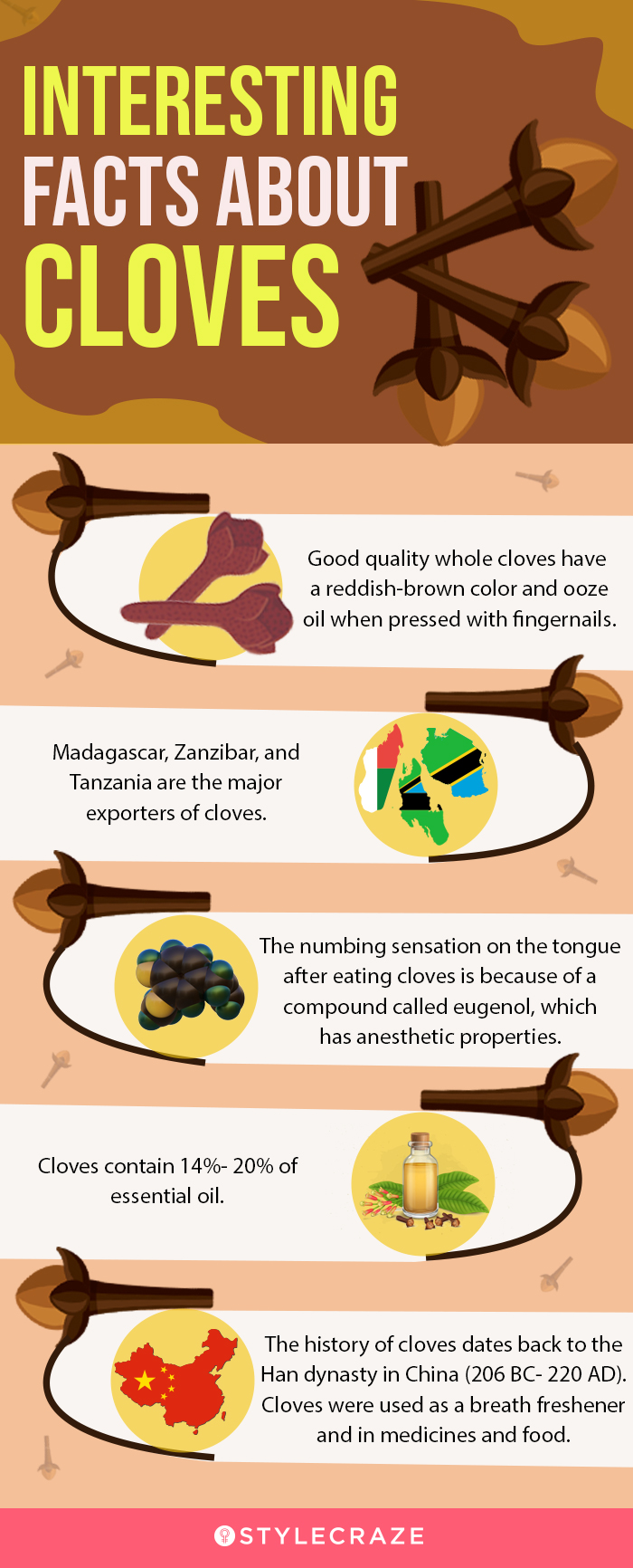 interesting facts about cloves (infographic)