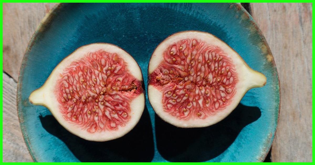 29 Amazing Benefits And Uses Of Figs For Skin Hair And Health