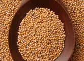 17 Amazing Benefits Of Mustard Seeds For Skin, Hair & Health