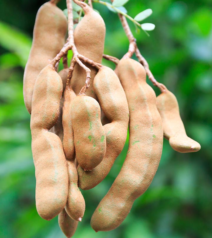 7 Health Benefits Of Tamarind + Possible Side Effects