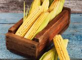 13 Amazing Benefits Of Sweet Corn For Skin, Hair And Health
