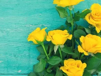 10 Beautiful Yellow Roses That Symbolize Genuine Friendship