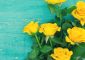 10 Beautiful Yellow Roses That Symbol...