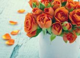 10 Most Beautiful Orange Roses For Your Garden