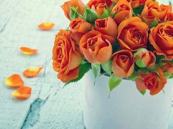 Top 10 Most Beautiful Orange Roses
