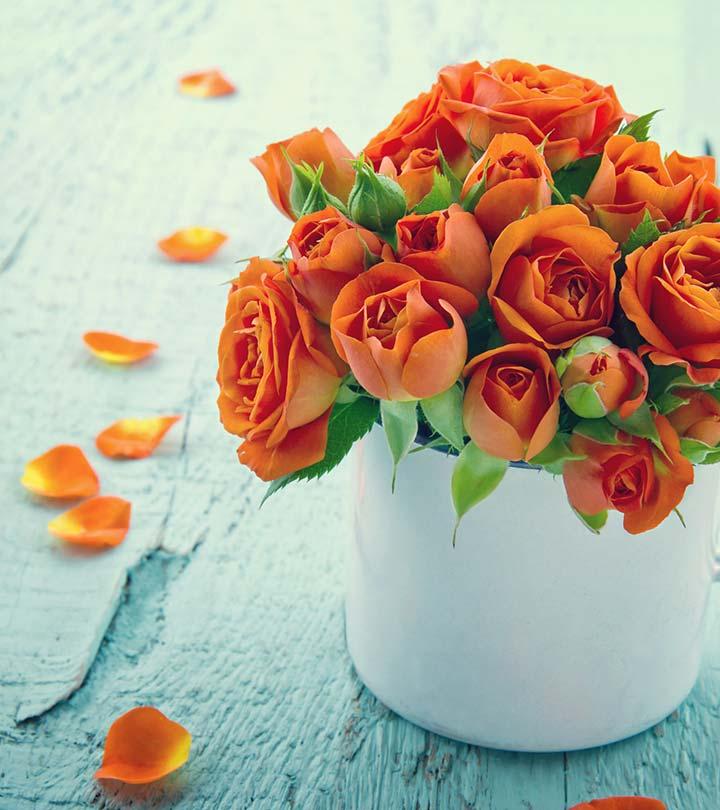 Top 10 Most Beautiful Orange Roses