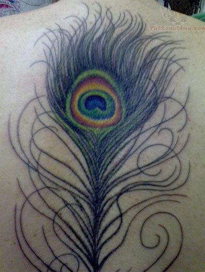 10 Impressive Peacock Tattoo Designs