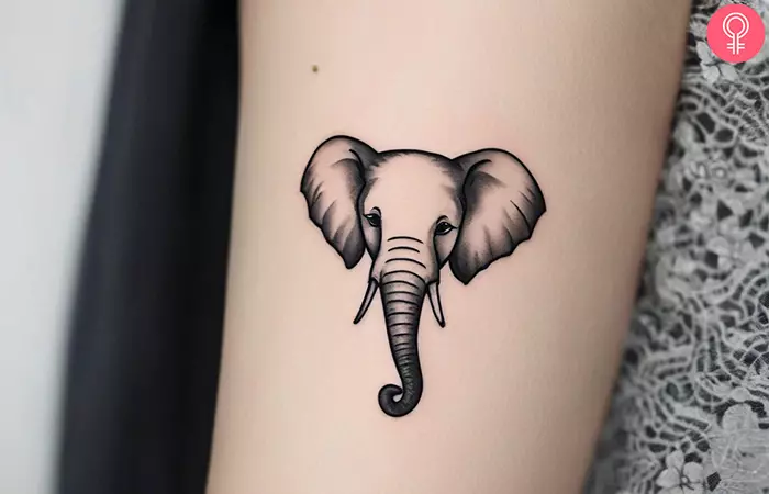 An elephant tattoo on the upper arm