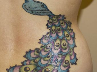 Best Animal Tattoo Designs – Our Top 10