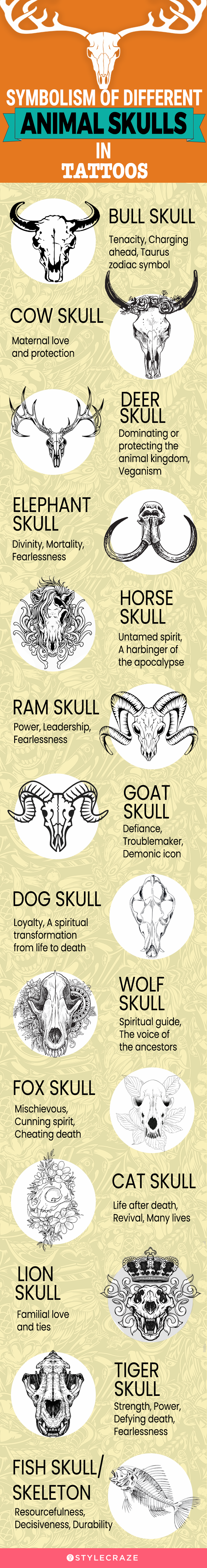 symbolism of different animal skulls in tattoos (infographic)