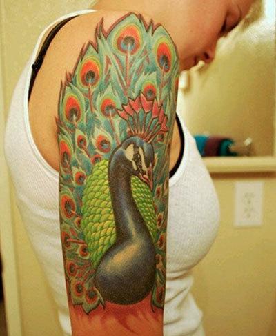 10 Impressive Peacock Tattoo Designs