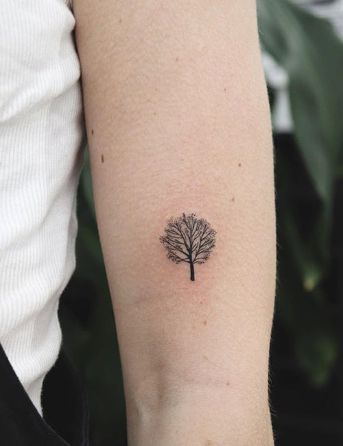 50 Bamboo Tattoo Designs For Men - Lush Greenery Ink Ideas