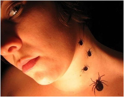 A number of spiders tattoo design