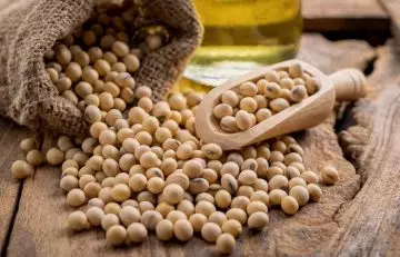 Soybeans are rich in phosphorus