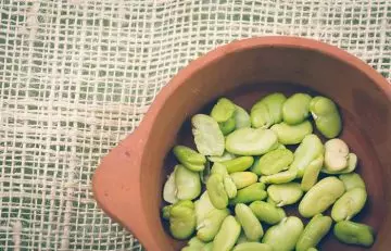 Lima beans rich in phosphorus