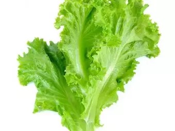 18 Scientifically Proven Health Benefits Of Lettuce