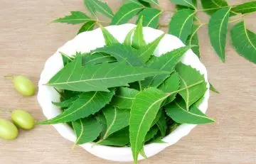 Cucumber and neem face mask