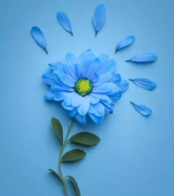26 Most Beautiful Blue Flowers