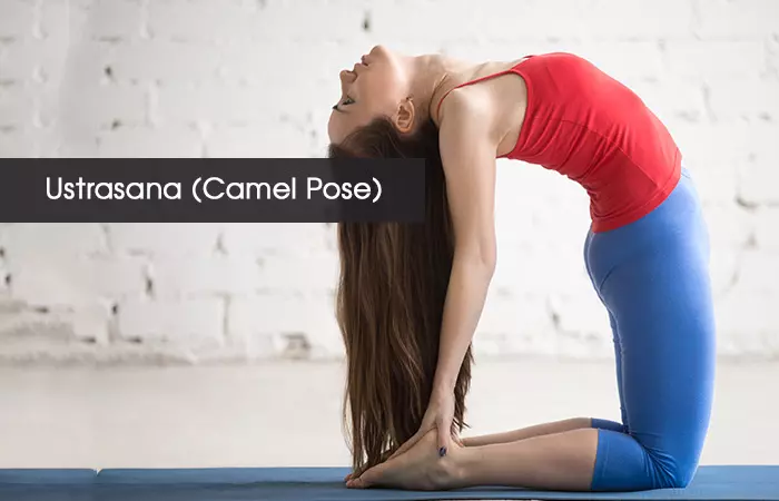 4. Ustrasana (Camel Pose)