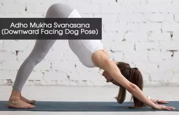 5. Adho Mukha Svanasana (Downward Facing Dog Pose)
