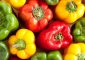 20 Amazing Benefits Of Bell Peppers And Their Nutritional Value