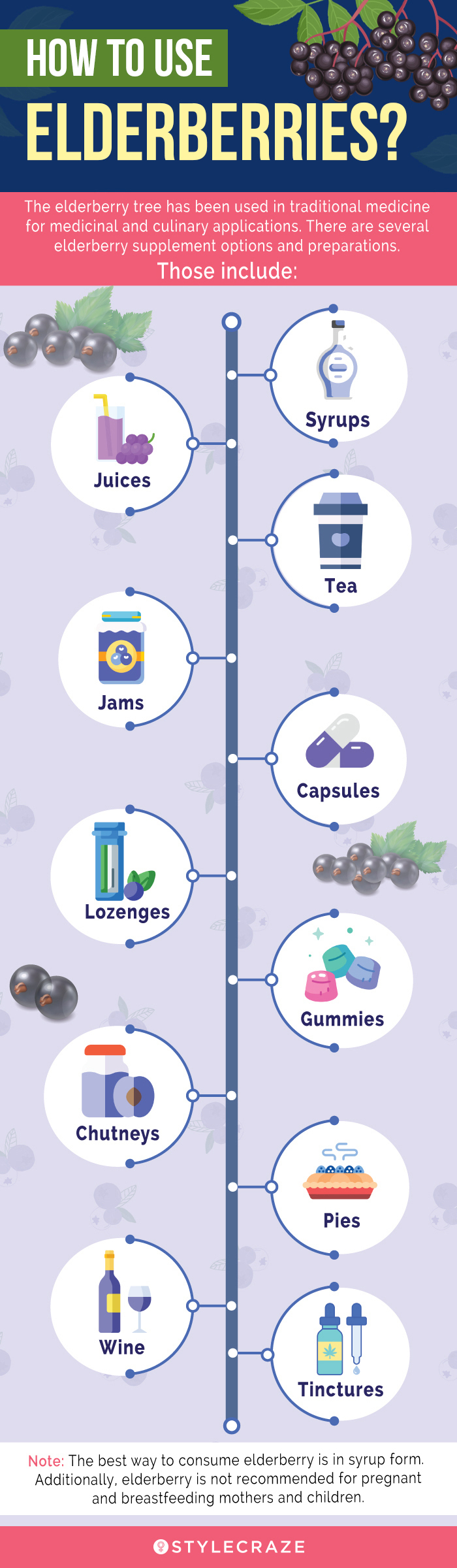 how to use elderberries (infographic)