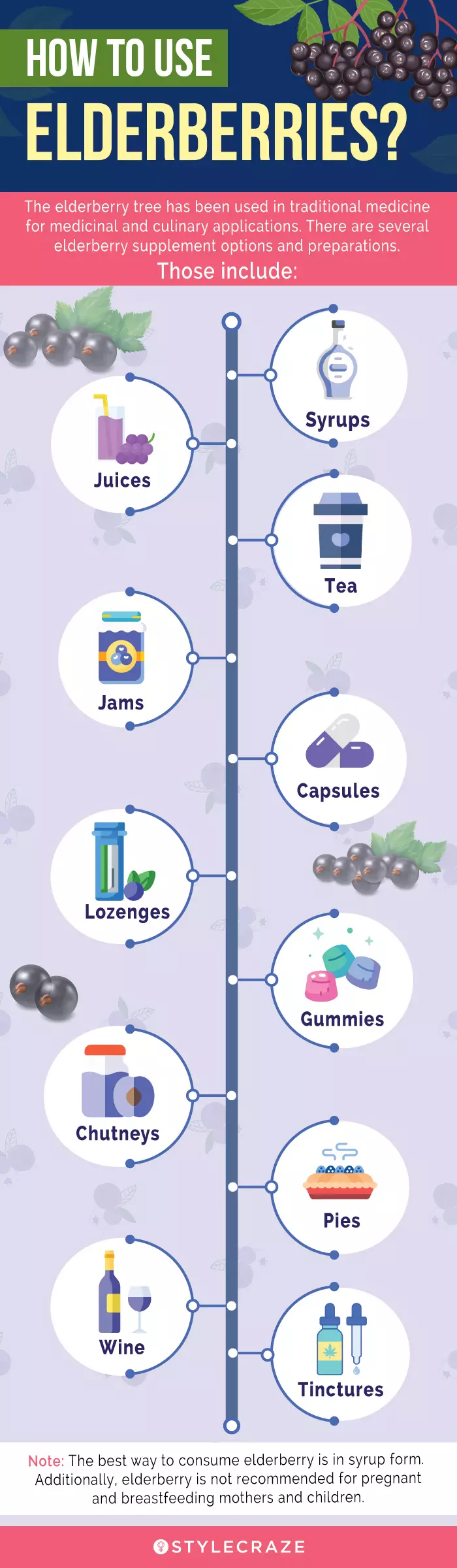 how to use elderberries (infographic)