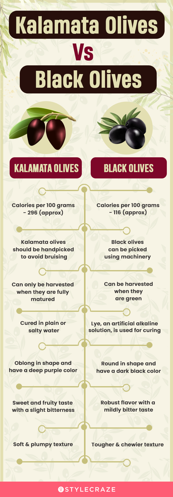kalamata olives vs black olives (infographic)