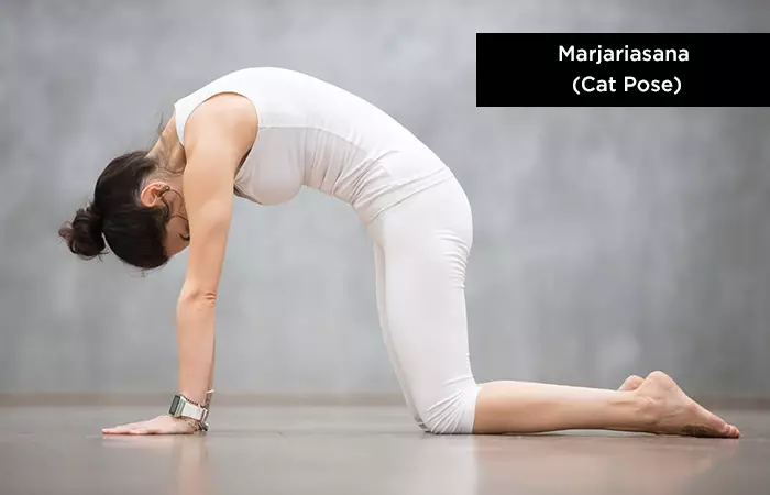Marjariasana (Cat-Pose) - Yoga for Increasing Height